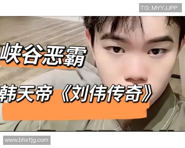 与刘伟畅谈王者荣耀职业生涯的成长与挑战