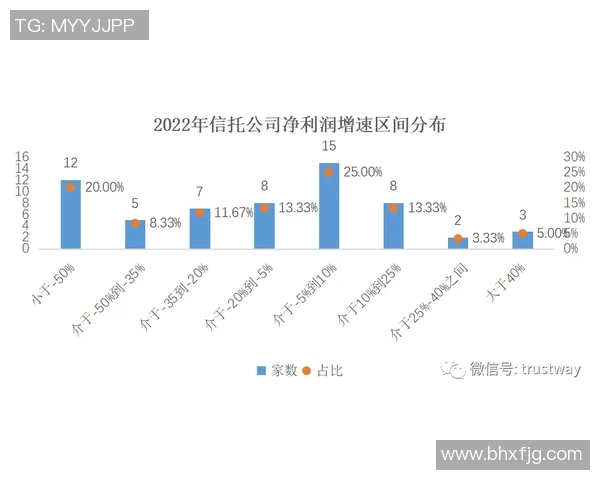 南京羽毛球队转型之路:从传统到现代的深度解析与未来展望 南京羽毛球队转型之路:从传统到现代的深度解析与未来展望