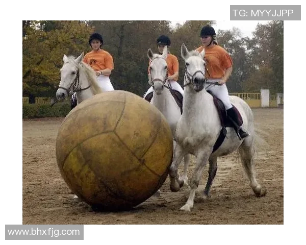 吴敏独家分享羽毛球技巧与心得助你提升竞技水平与乐趣