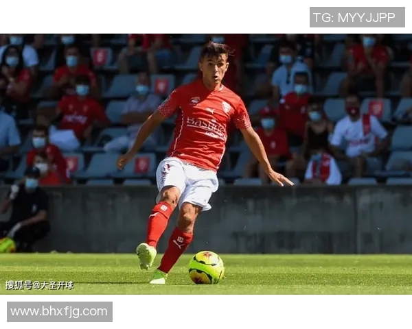 索肖对尼姆比赛结果揭晓分析及未来展望 索肖对尼姆比赛结果揭晓分析及未来展望