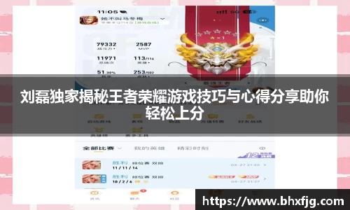 刘磊独家揭秘王者荣耀游戏技巧与心得分享助你轻松上分