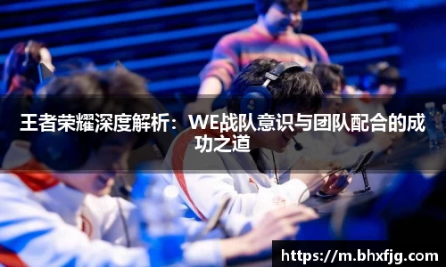 王者荣耀深度解析：WE战队意识与团队配合的成功之道
