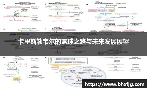 卡里斯勒韦尔的篮球之路与未来发展展望