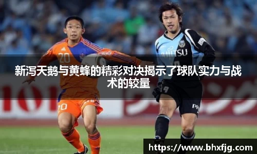 新泻天鹅与黄蜂的精彩对决揭示了球队实力与战术的较量